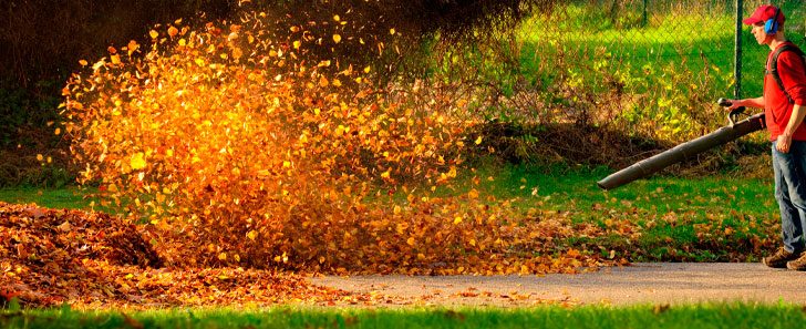 banner-materia-soprador-folha-blog Prepare seu jardim - Sopradores de folhas